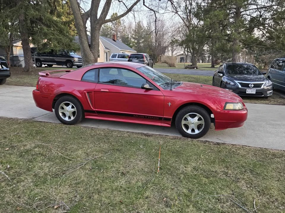 2002 Ford SN95 Mustang - Image 4 of 5