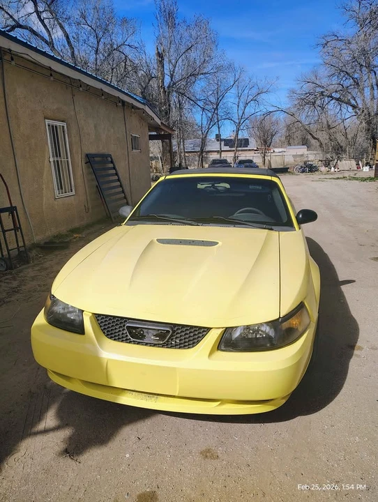 2002 Ford SN95 Mustang - Image 3 of 9