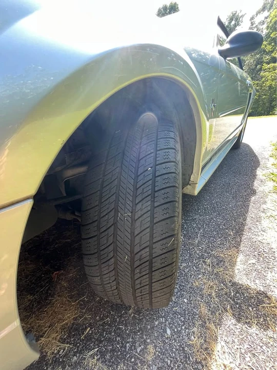2002 Ford SN95 Mustang - Image 18 of 19