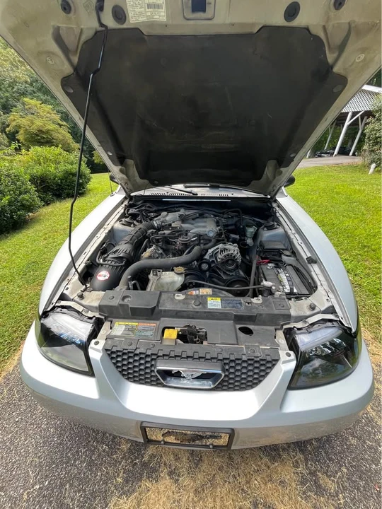 2002 Ford SN95 Mustang - Image 5 of 19