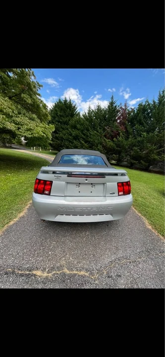 2002 Ford SN95 Mustang - Image 16 of 19