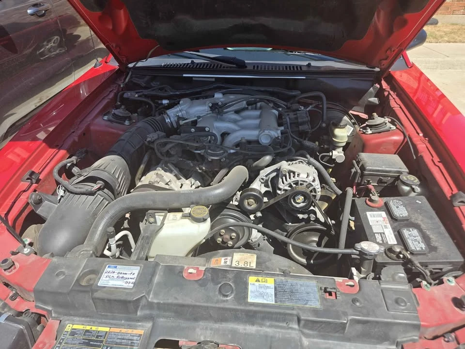 2002 Ford SN95 Mustang - Image 2 of 10