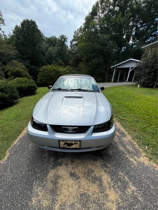 2002 Ford SN95 Mustang - Image 4 of 19
