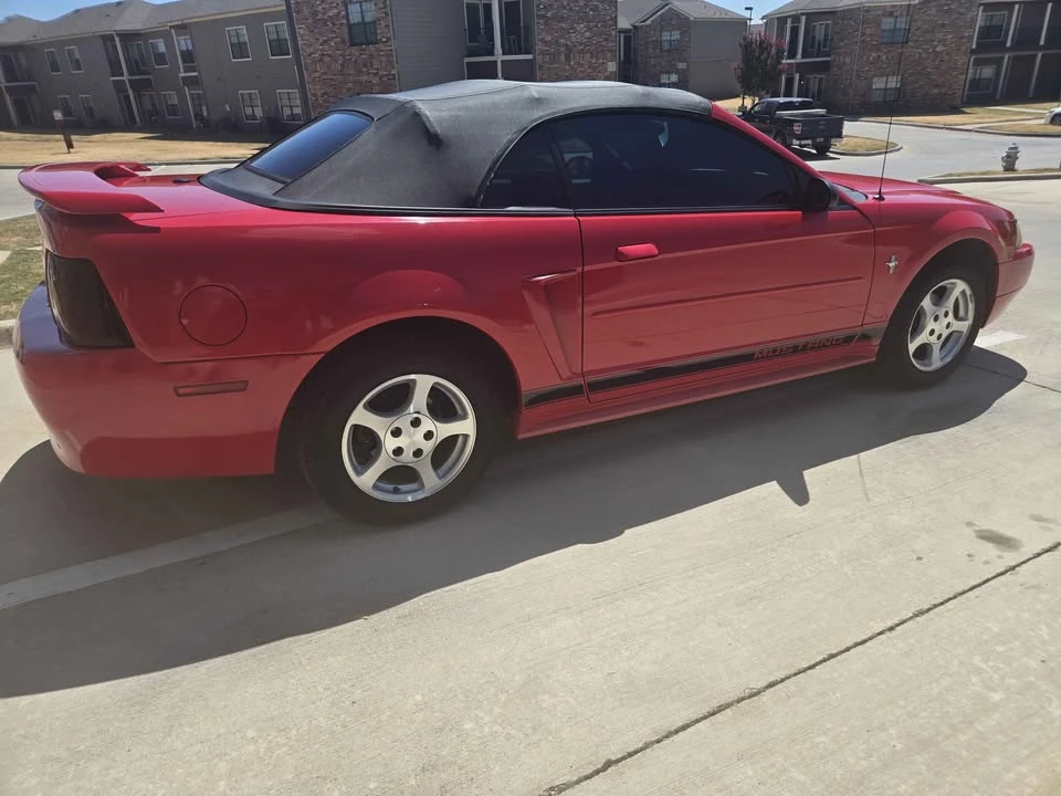 2002 Ford SN95 Mustang - Image 5 of 10