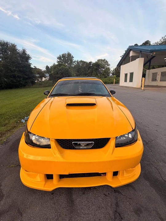 2002 Ford SN95 Mustang - Image 3 of 12