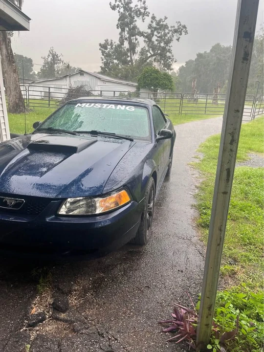 2002 Ford SN95 Mustang - Image 2 of 2