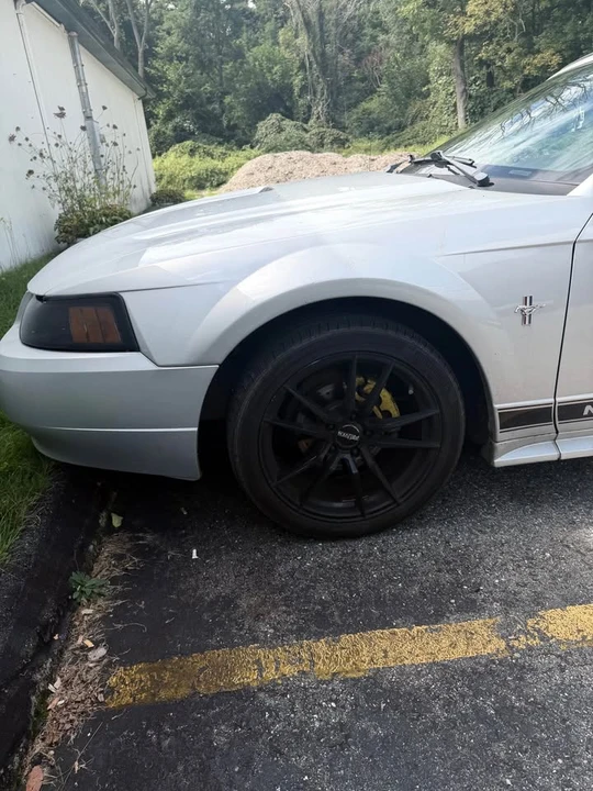 2002 Ford SN95 Mustang - Image 3 of 7