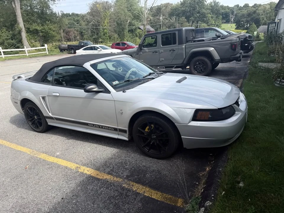 2002 Ford SN95 Mustang - Image 4 of 7