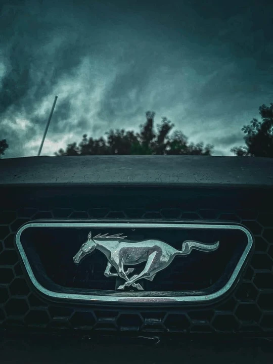2002 Ford SN95 Mustang - Image 3 of 8