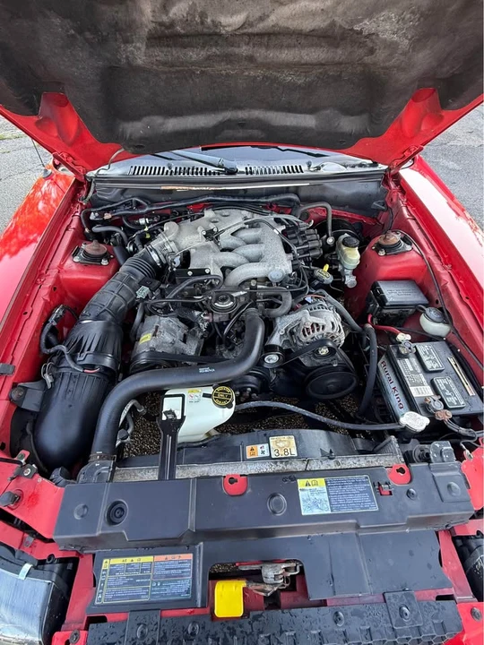 2002 Ford SN95 Mustang - Image 9 of 15
