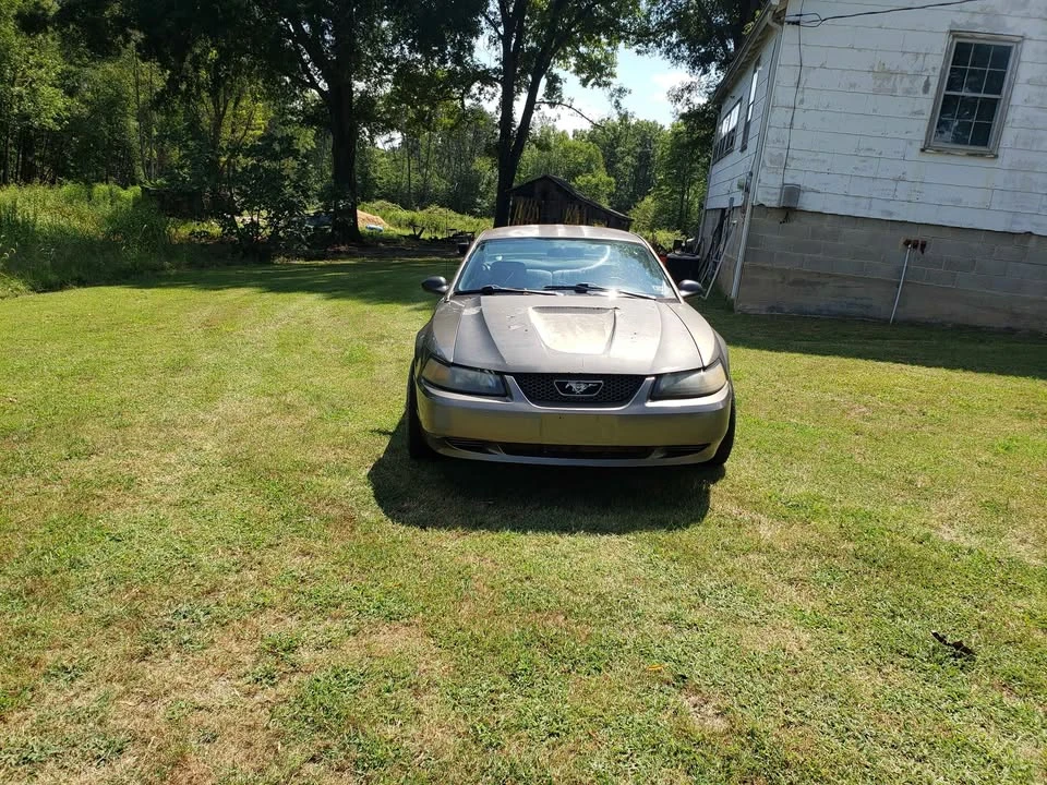 2002 Ford SN95 Mustang - Image 3 of 9