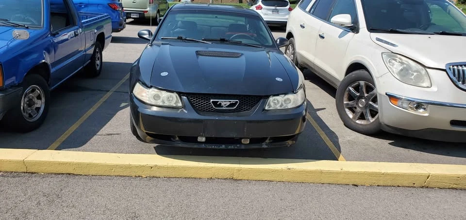 2002 Ford SN95 Mustang - Image 7 of 8