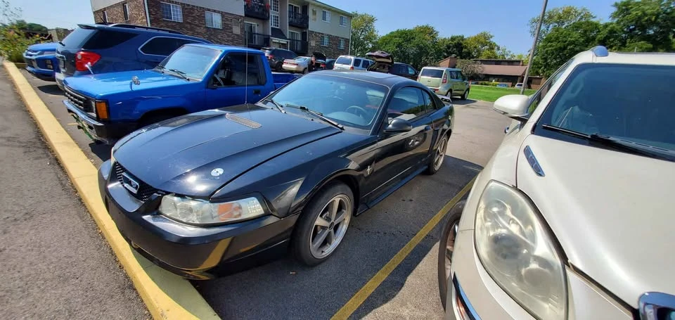 2002 Ford SN95 Mustang - Image 5 of 8
