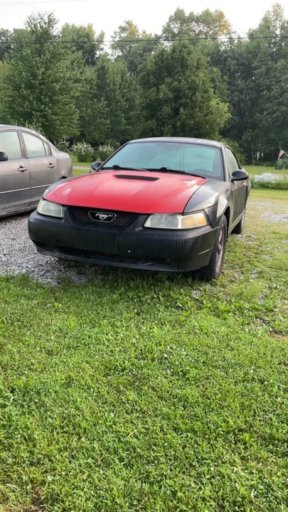2002 Ford SN95 Mustang - Image 2 of 5