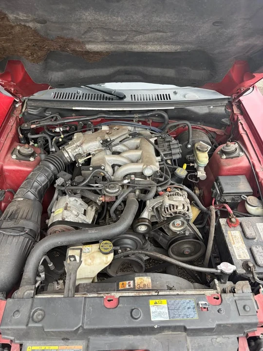 2002 Ford SN95 Mustang - Image 11 of 12