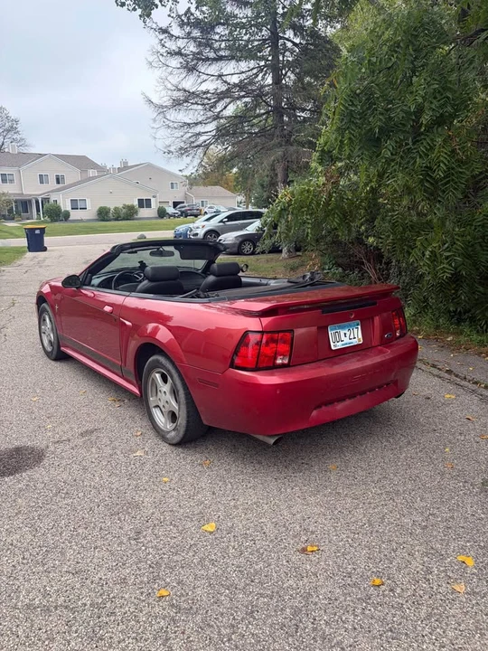 2002 Ford SN95 Mustang - Image 8 of 12