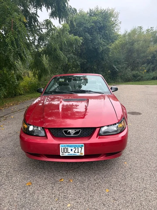 2002 Ford SN95 Mustang - Image 2 of 12
