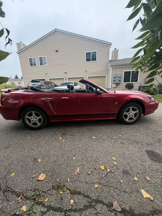 2002 Ford SN95 Mustang - Image 4 of 12