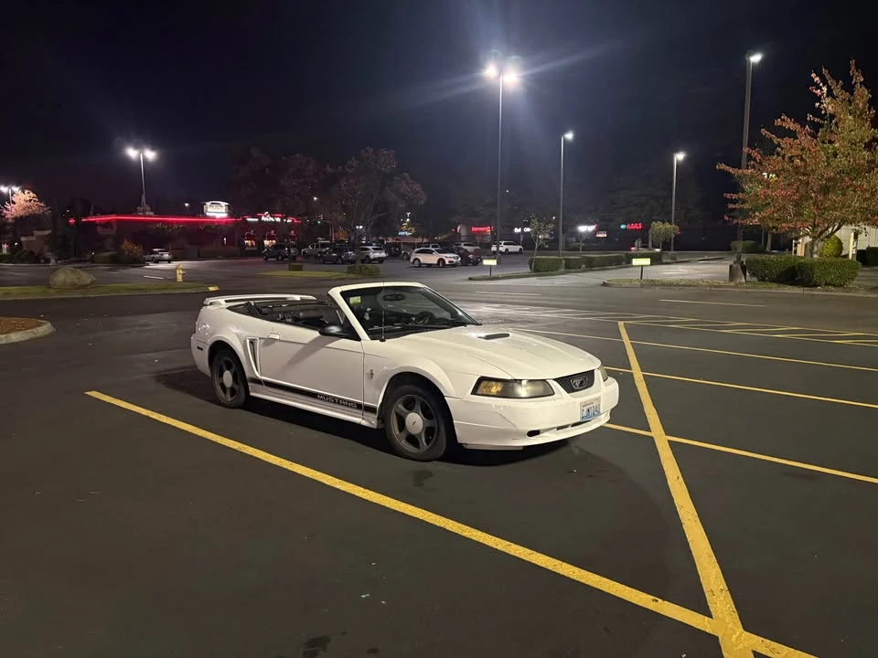 2002 Ford SN95 Mustang - Image 3 of 5