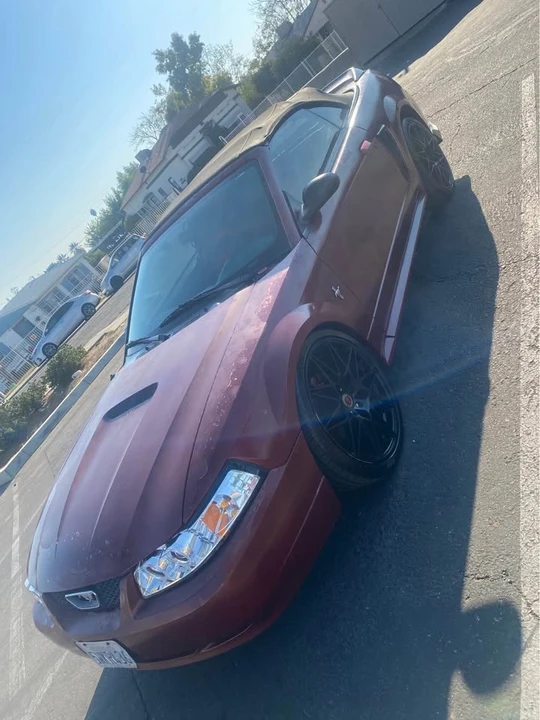 2002 Ford SN95 Mustang - Image 7 of 12
