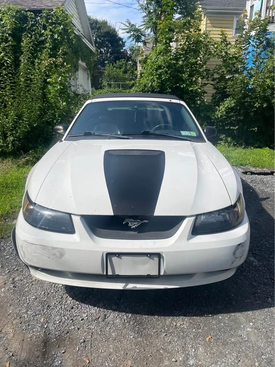 2002 Ford SN95 Mustang - Image 3 of 17