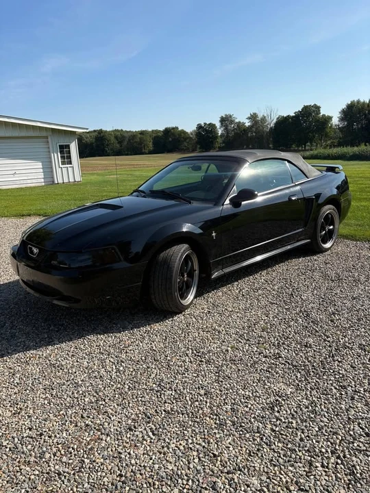 2002 Ford SN95 Mustang - Image 4 of 8