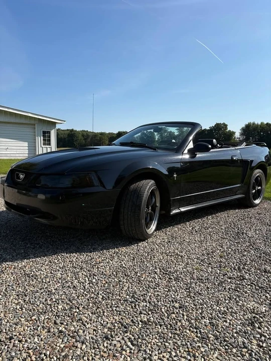 2002 Ford SN95 Mustang - Image 8 of 8