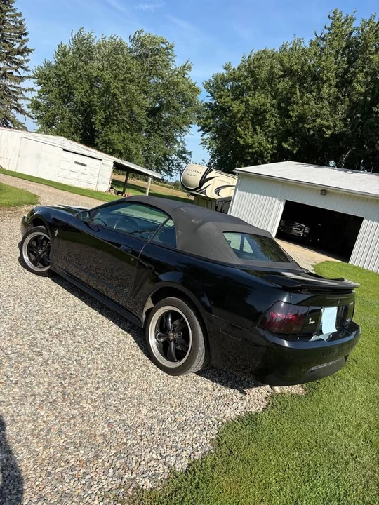 2002 Ford SN95 Mustang - Image 7 of 8