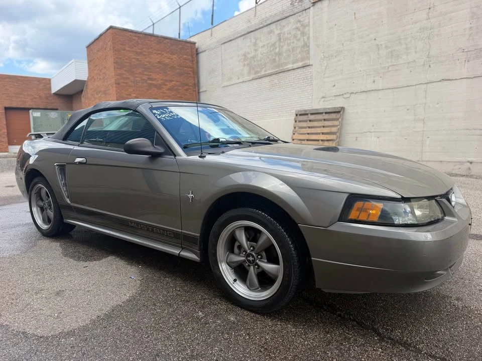 2002 Ford SN95 Mustang - Image 2 of 9