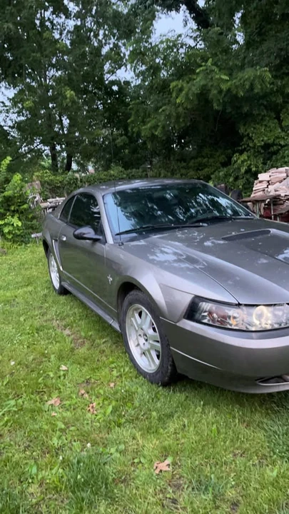 2002 Ford SN95 Mustang - Image 9 of 12