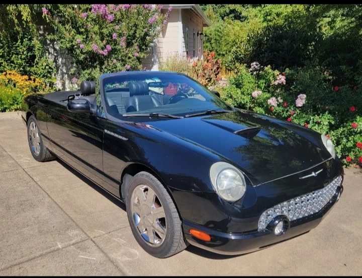 2002 Ford Thunderbird 11th Gen - Image 14 of 17