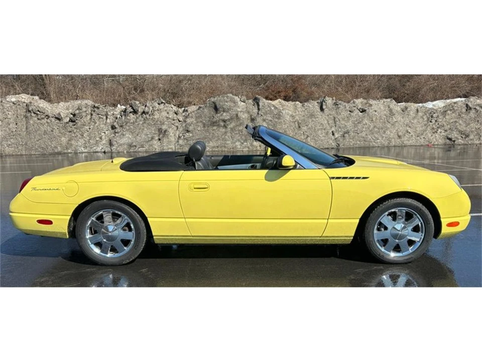 2002 Ford Thunderbird 11th Gen - Image 19 of 31