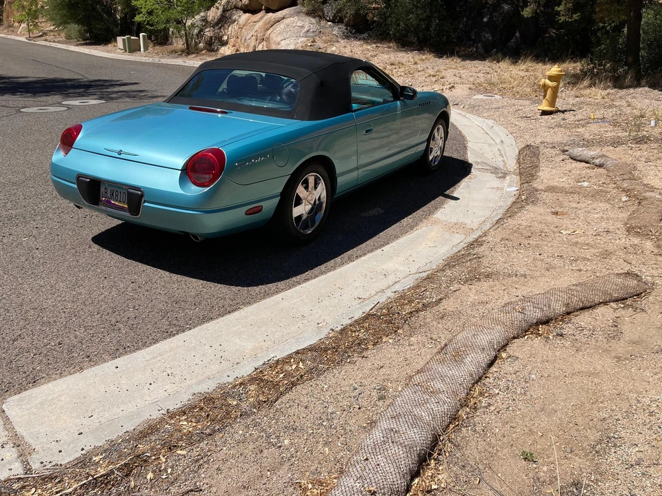 2002 Ford Thunderbird 11th Gen - Image 10 of 29