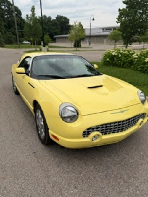 2002 Ford Thunderbird 11th Gen - Image 15 of 31
