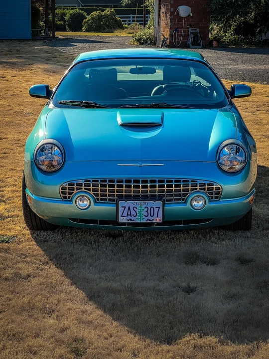 2002 Ford Thunderbird 11th Gen - Image 30 of 31