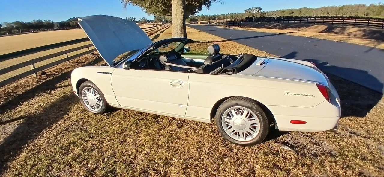 2002 Ford Thunderbird 11th Gen - Image 14 of 22