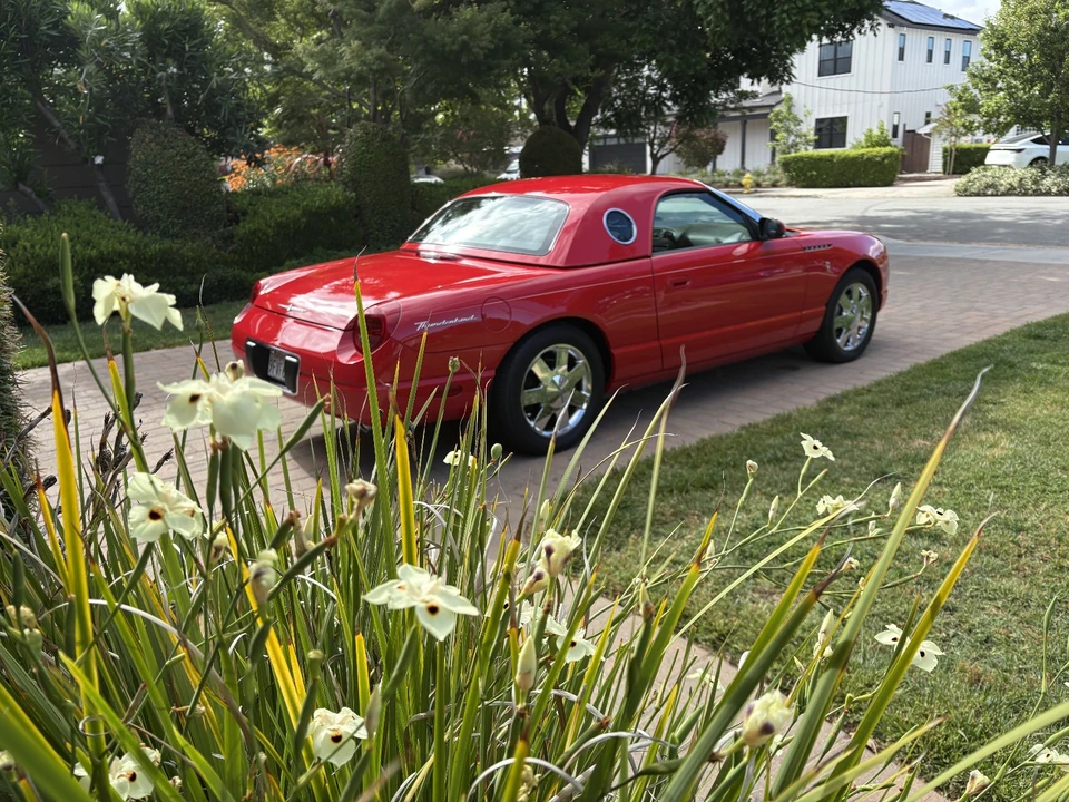 2002 Ford Thunderbird 11th Gen - Image 25 of 31