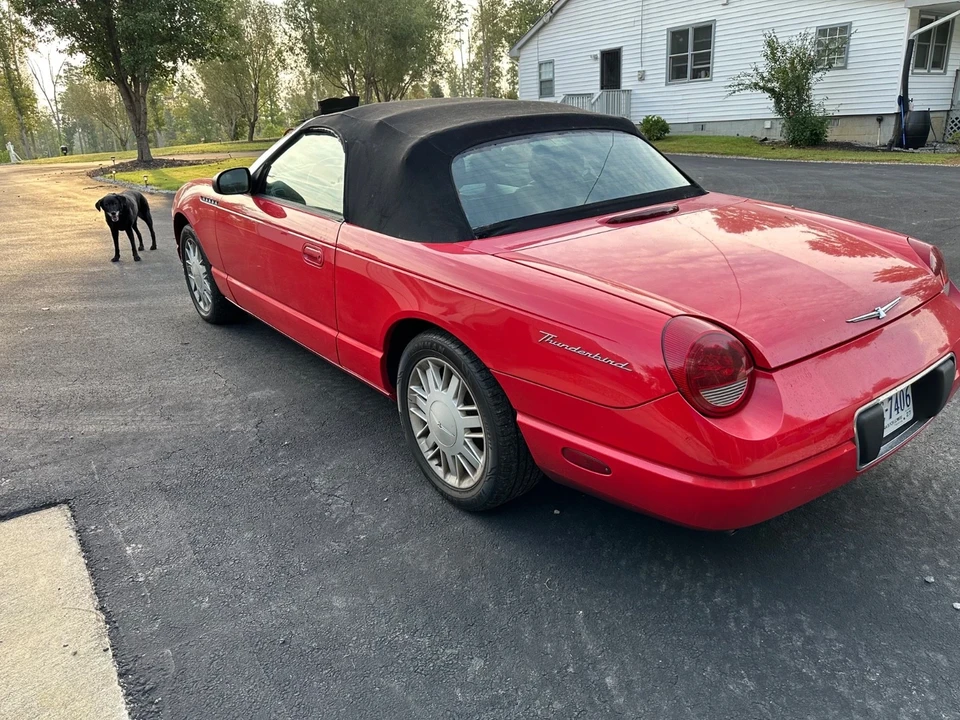 2002 Ford Thunderbird 11th Gen - Image 4 of 8