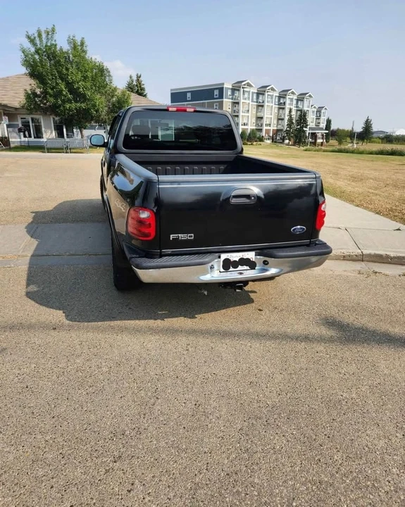 2002 Ford F-150 10th Gen - Image 4 of 11