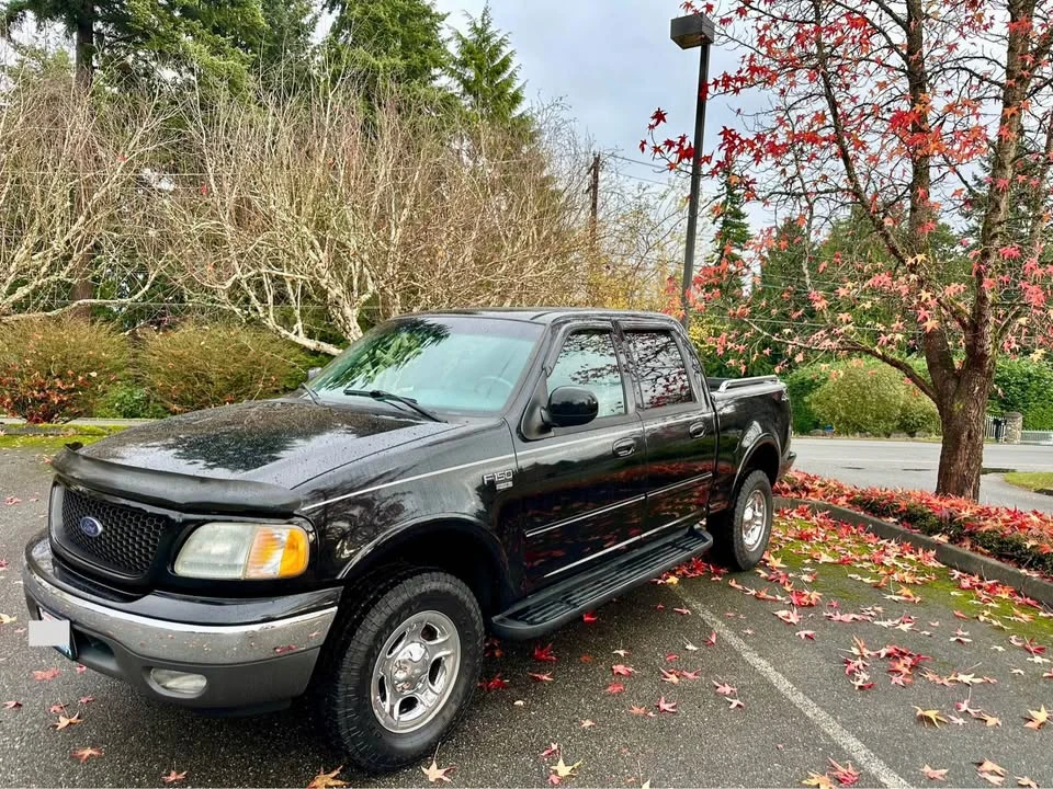 2002 Ford F-150 10th Gen - Image 8 of 8