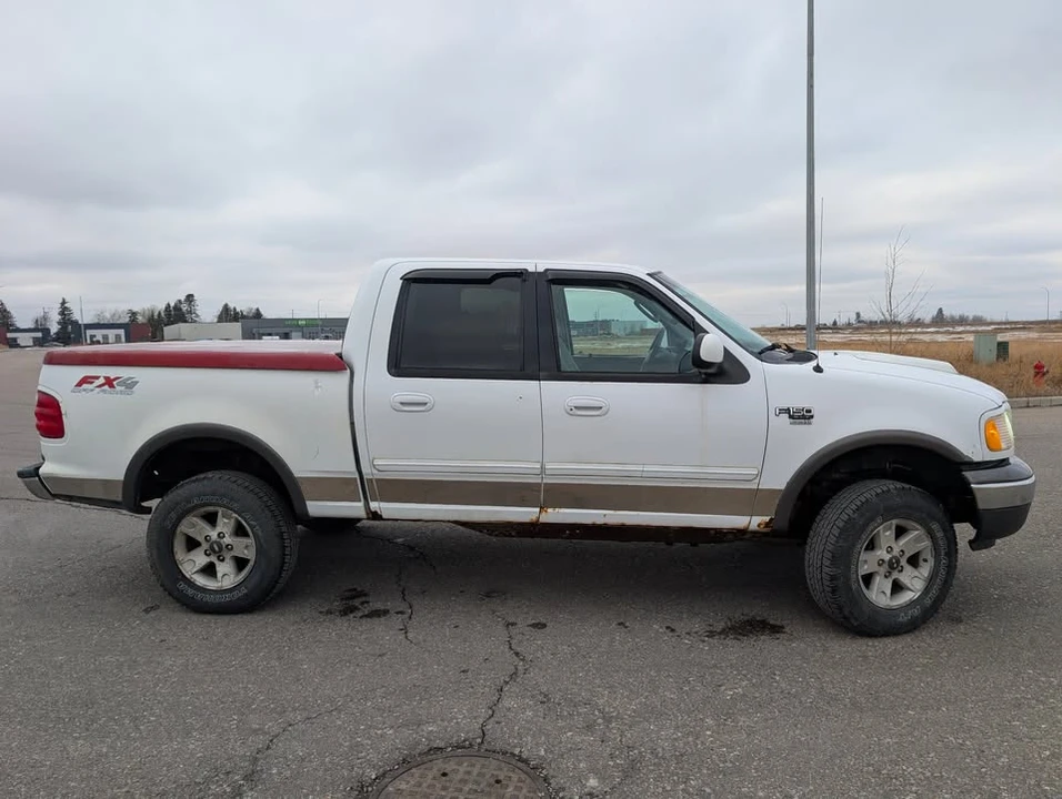 2002 Ford F-150 10th Gen - Image 3 of 20