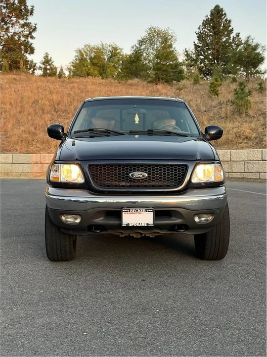 2002 Ford F-150 10th Gen - Image 8 of 15