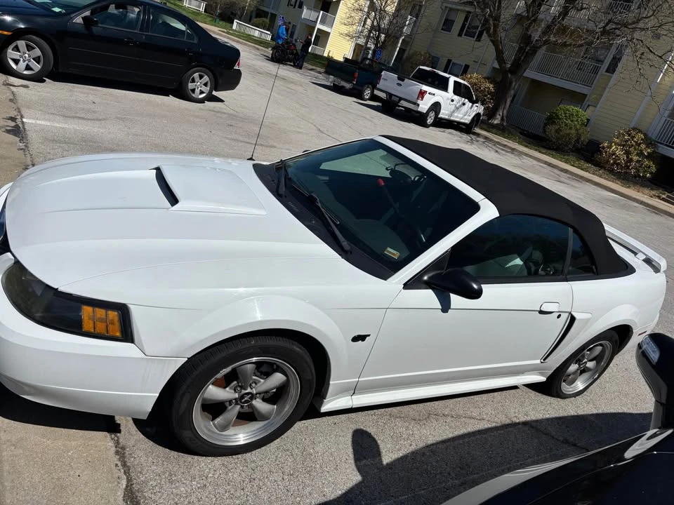 2002 Ford GT - Image 3 of 6