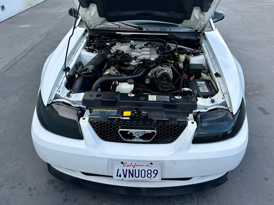 2002 Ford SN95 Mustang - Image 13 of 14