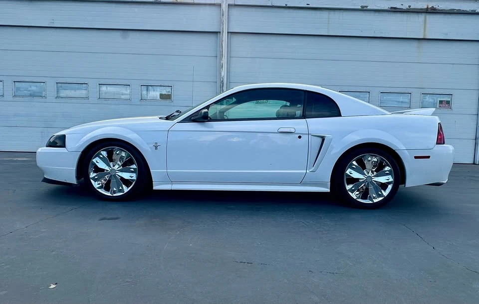 2002 Ford SN95 Mustang - Image 5 of 14