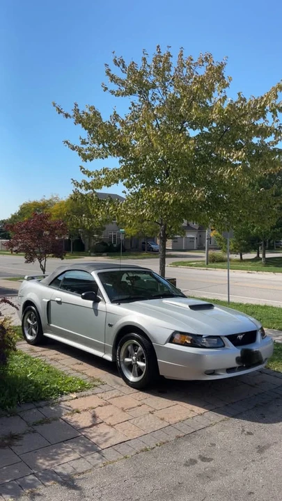 2002 Ford SN95 Mustang - Image 6 of 10