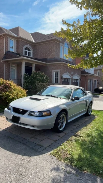 2002 Ford SN95 Mustang - Image 3 of 10