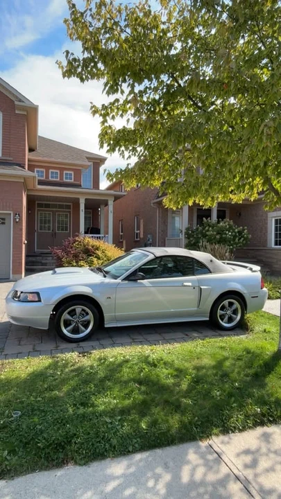 2002 Ford SN95 Mustang - Image 4 of 10