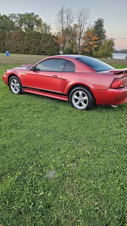 2002 Ford SN95 Mustang - Image 3 of 10