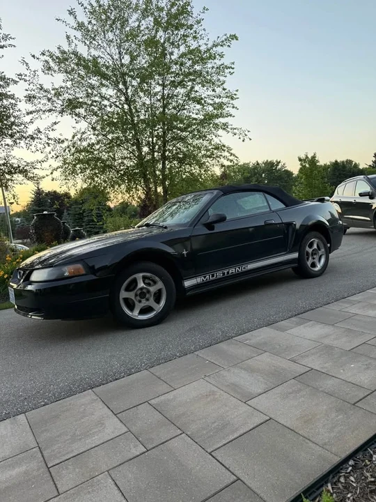 2002 Ford SN95 Mustang - Image 2 of 6